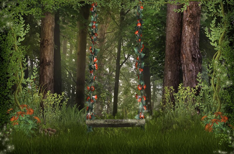 Wooden Swing in Forest