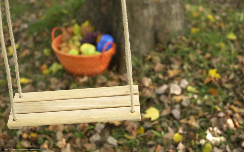 Wooden Swing in Garden — Brown