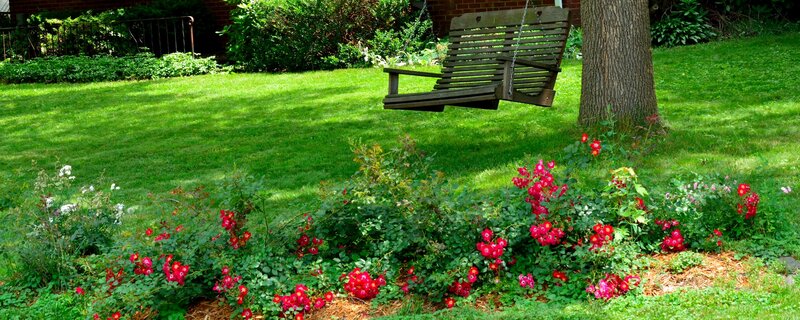 Wooden Swing in Garden — Green