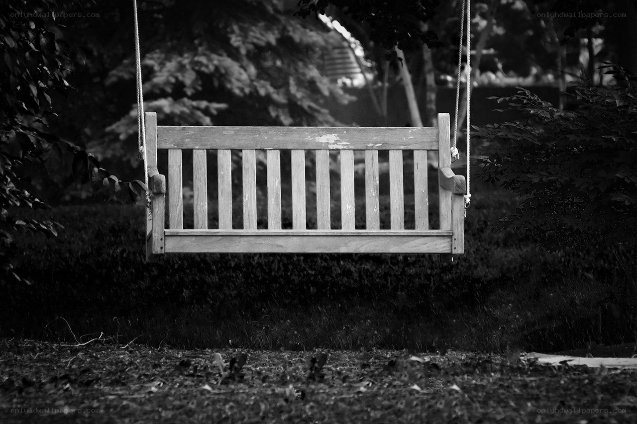 Wooden swing in garden