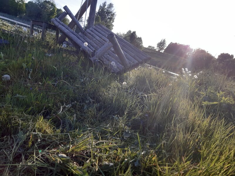 Wooden Swing in Grass