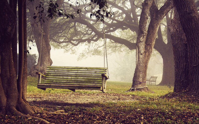 Wooden Swing in Park