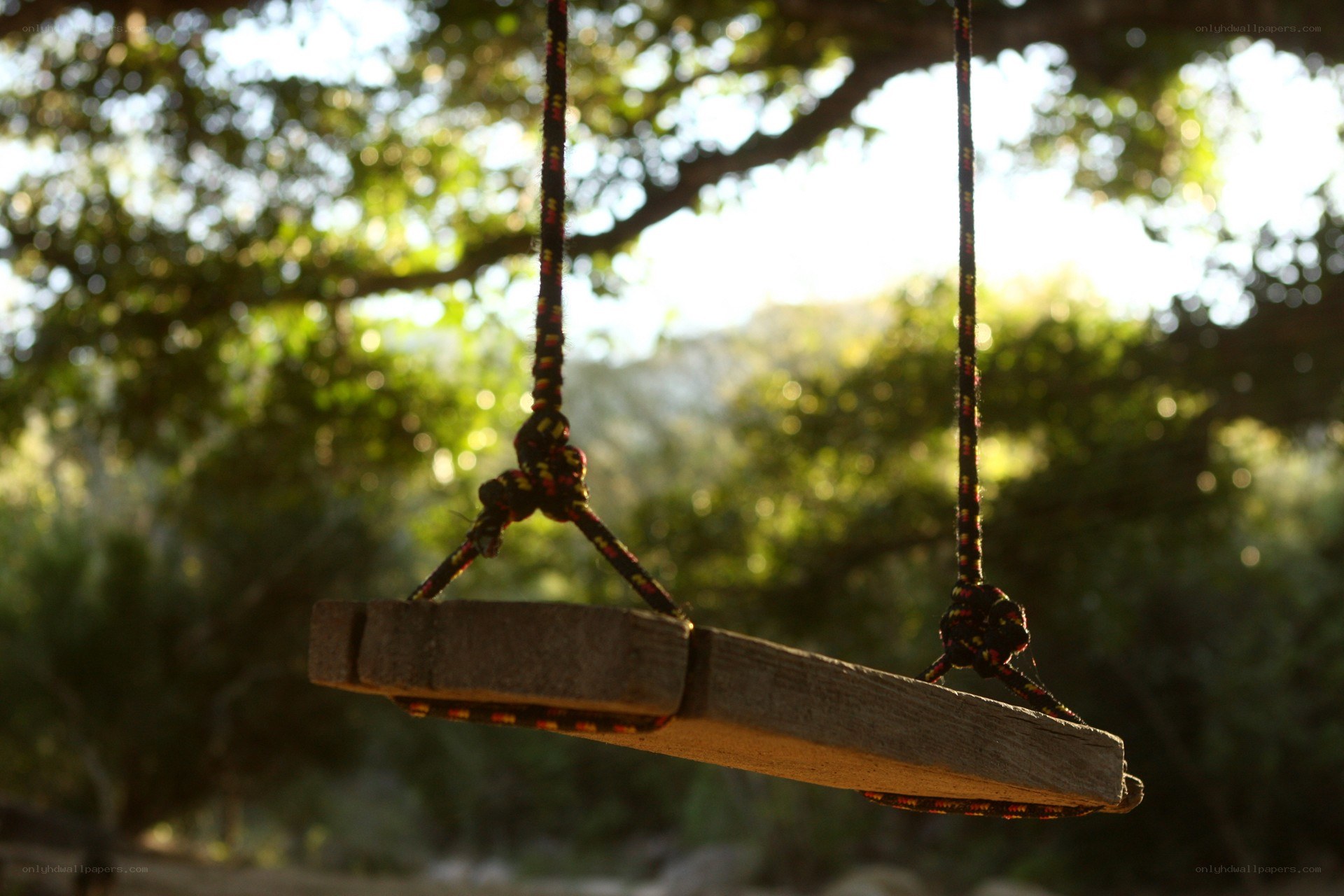 Wooden swing in sunlight