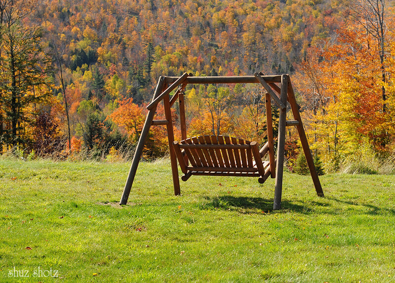 Wooden Swing on Lawn