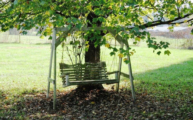 Wooden swing under a tree