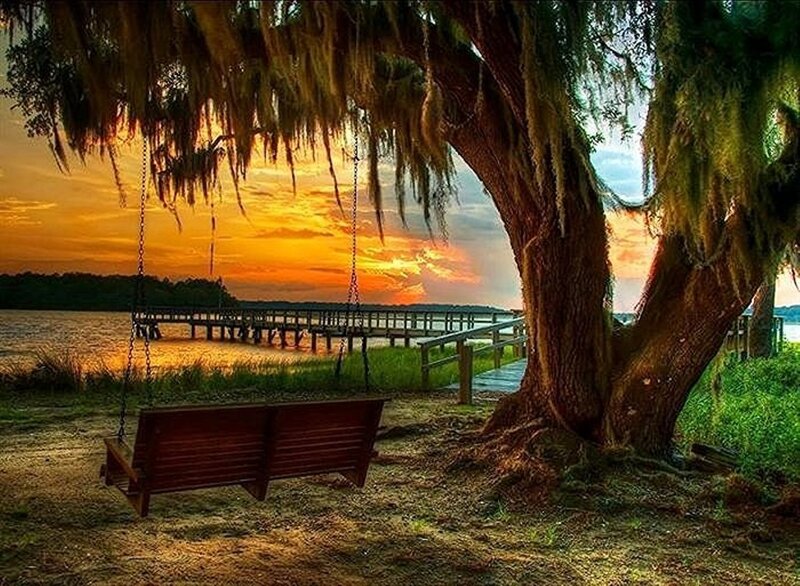 Wooden Swing under Tree — Orange