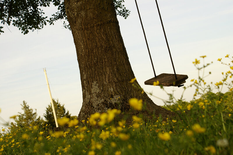 Wooden Swing under Tree