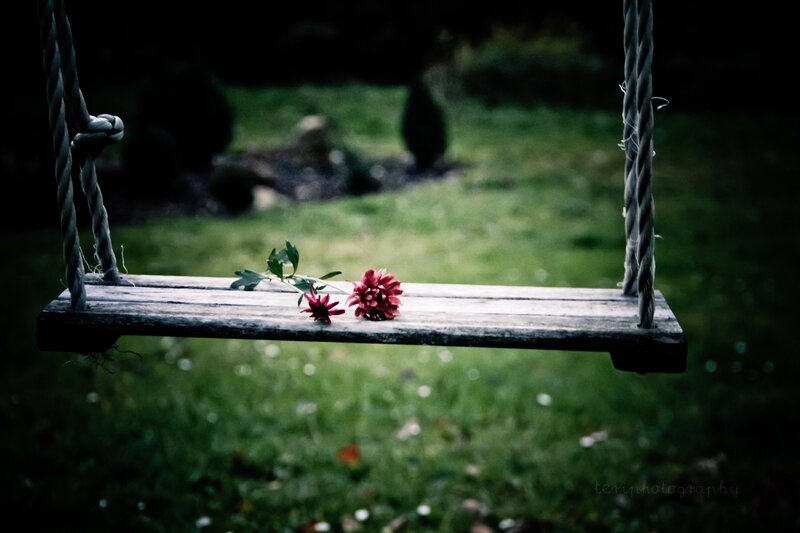 Wooden Swing with Flowers