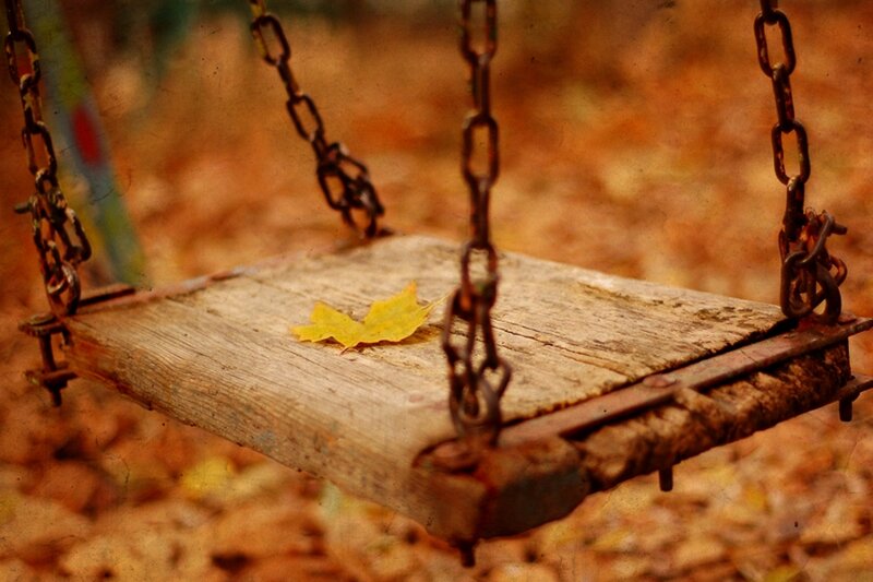 Wooden Swing with Leaf