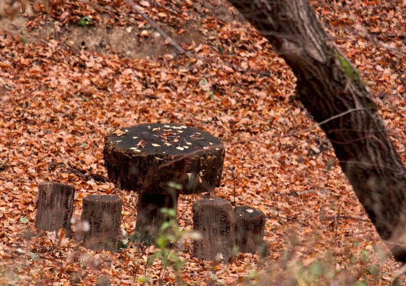 Wooden Table and Stools