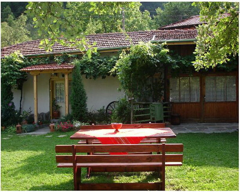 Wooden Table in Garden