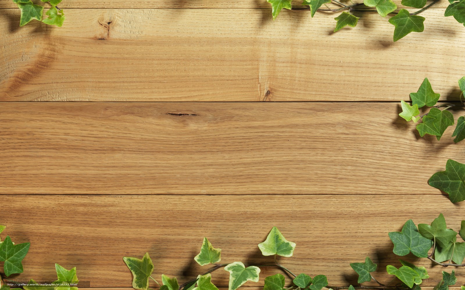 wooden table with ivy leaves