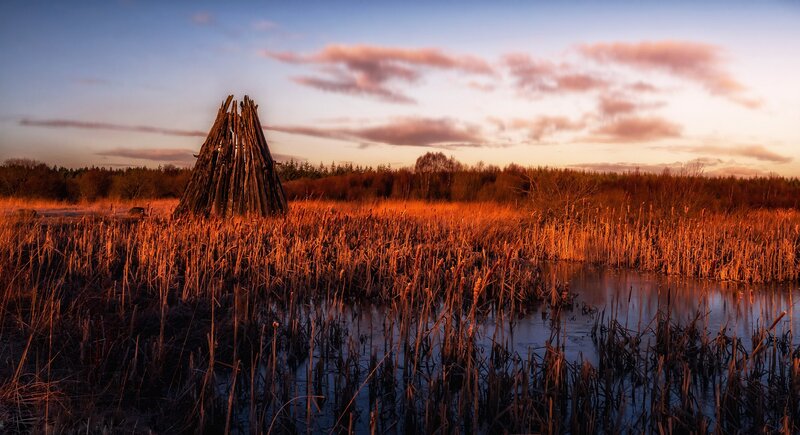 Wooden Teepee in Marsh
