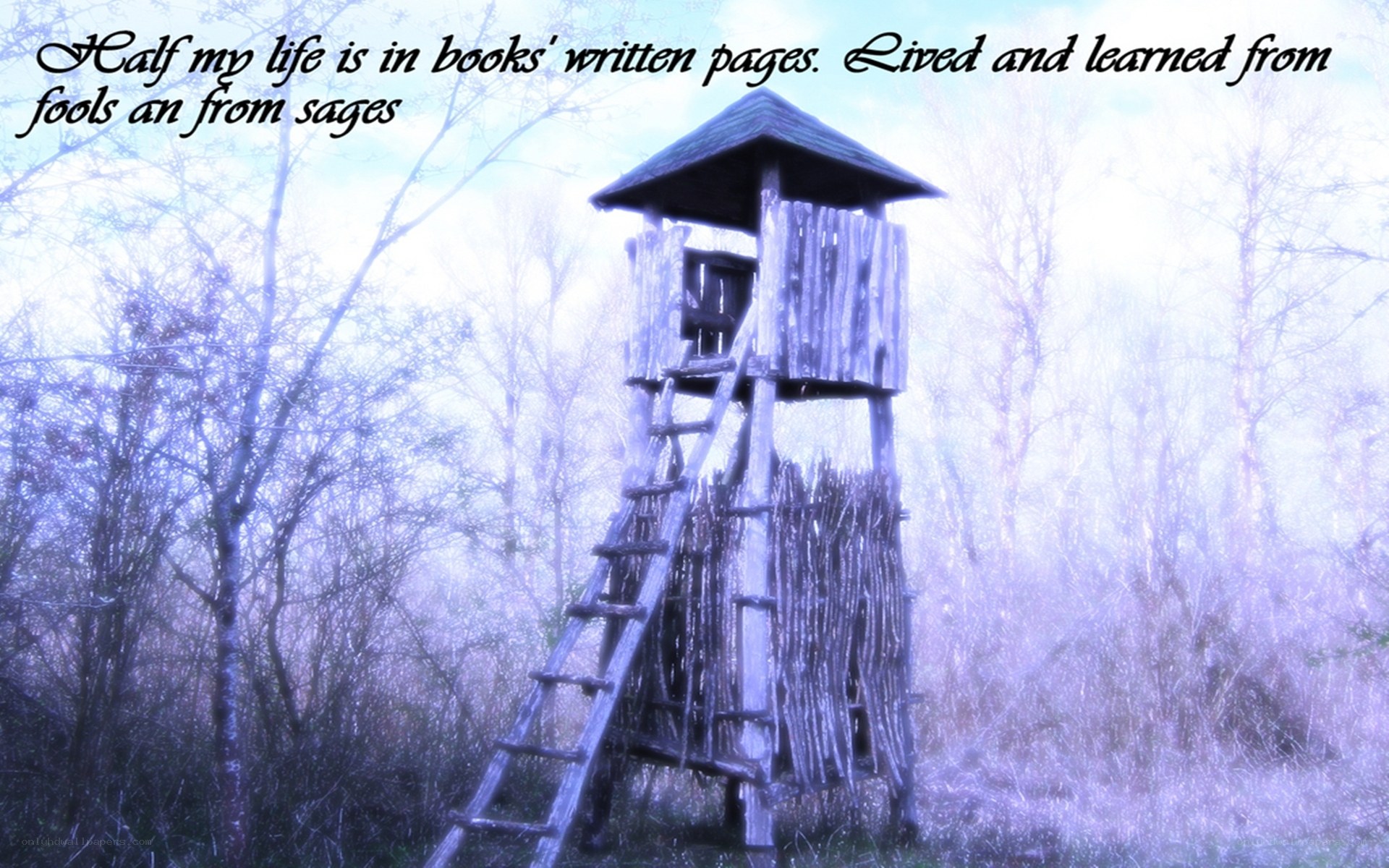 Wooden tower in misty forest