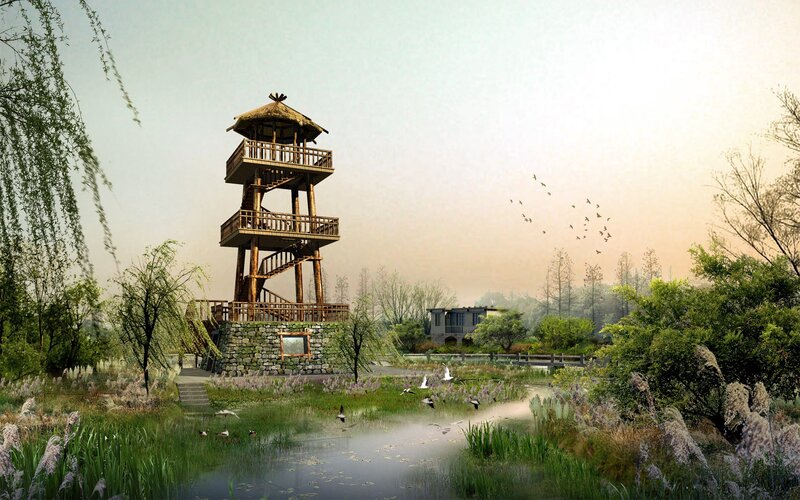Wooden tower in wetland landscape