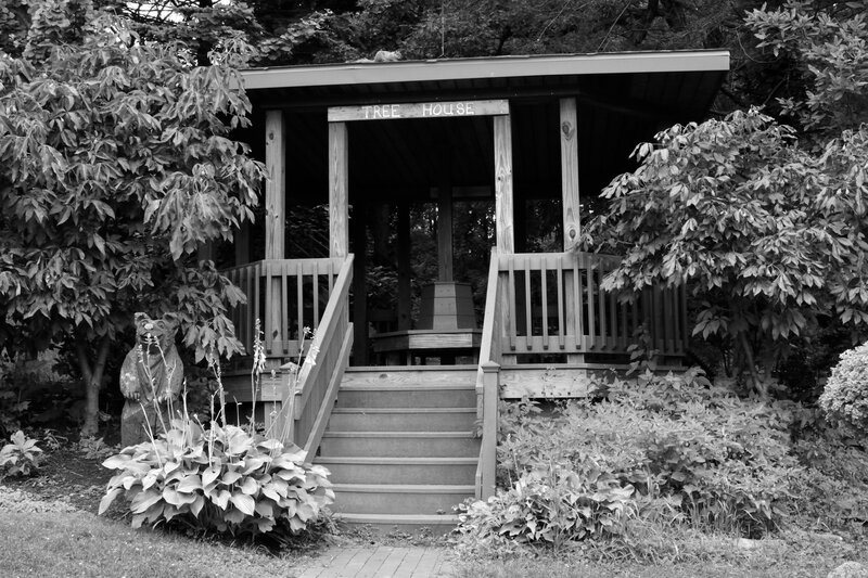 Wooden Tree House — Black
