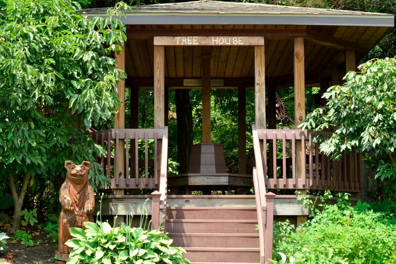 Wooden Tree House — Green, Serene