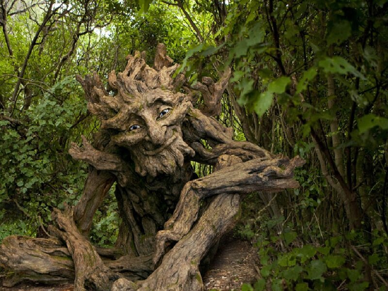 Wooden Tree Spirit