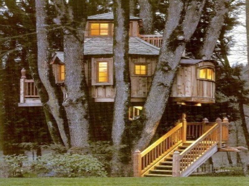 Wooden Treehouse — Brown