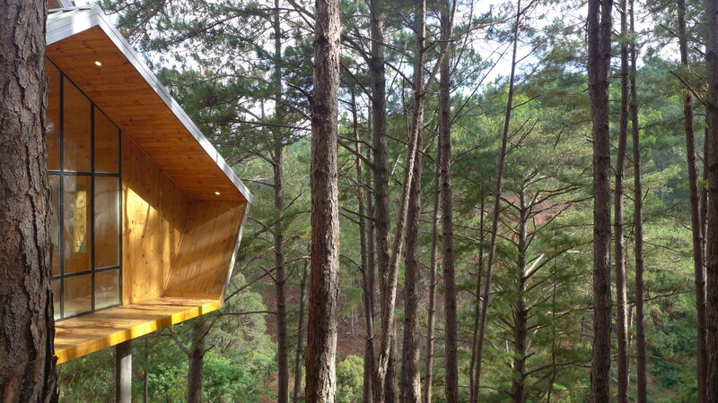 Wooden Treehouse in Forest — Brown, Serene