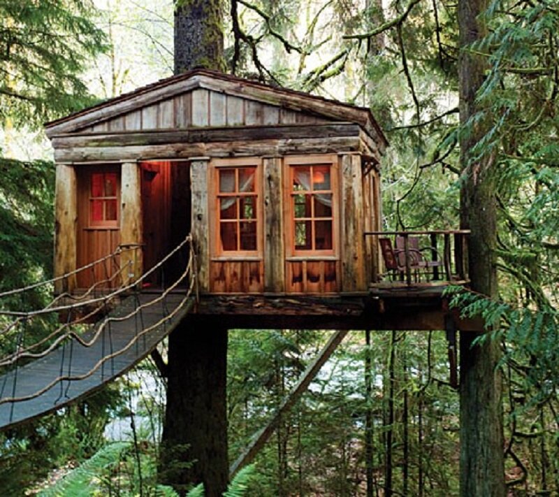 Wooden Treehouse in Forest — Brown