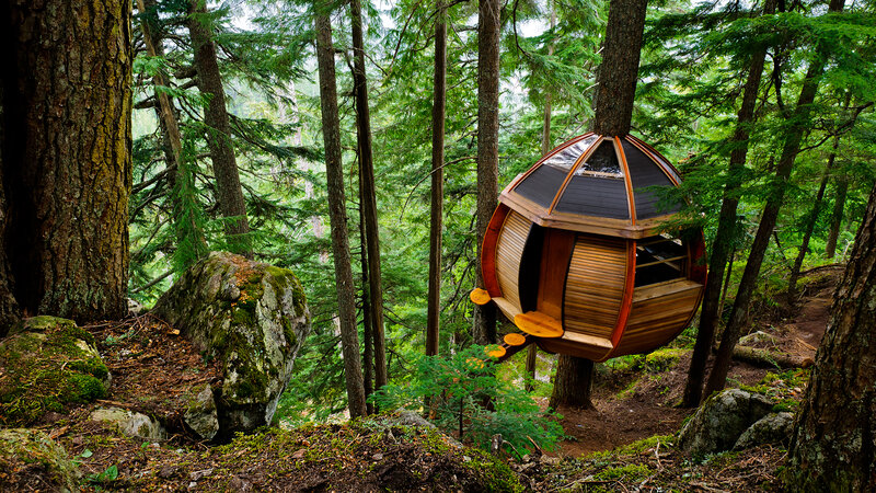 Wooden Treehouse in Forest — Green, Serene