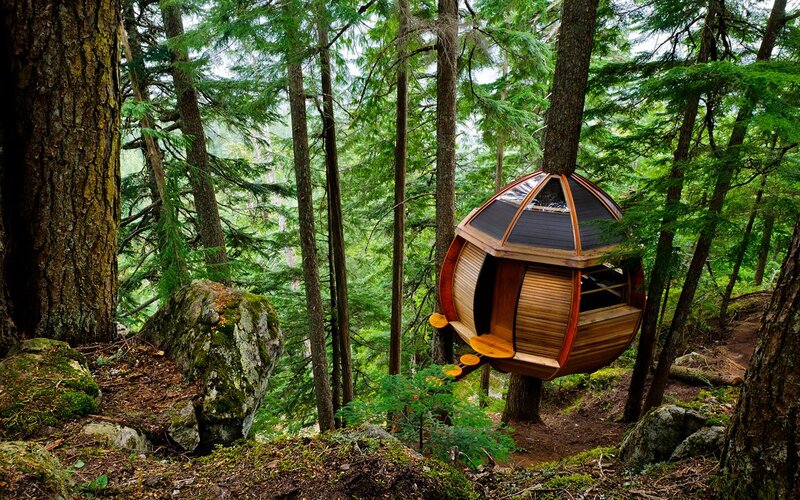 Wooden Treehouse in Forest — Green