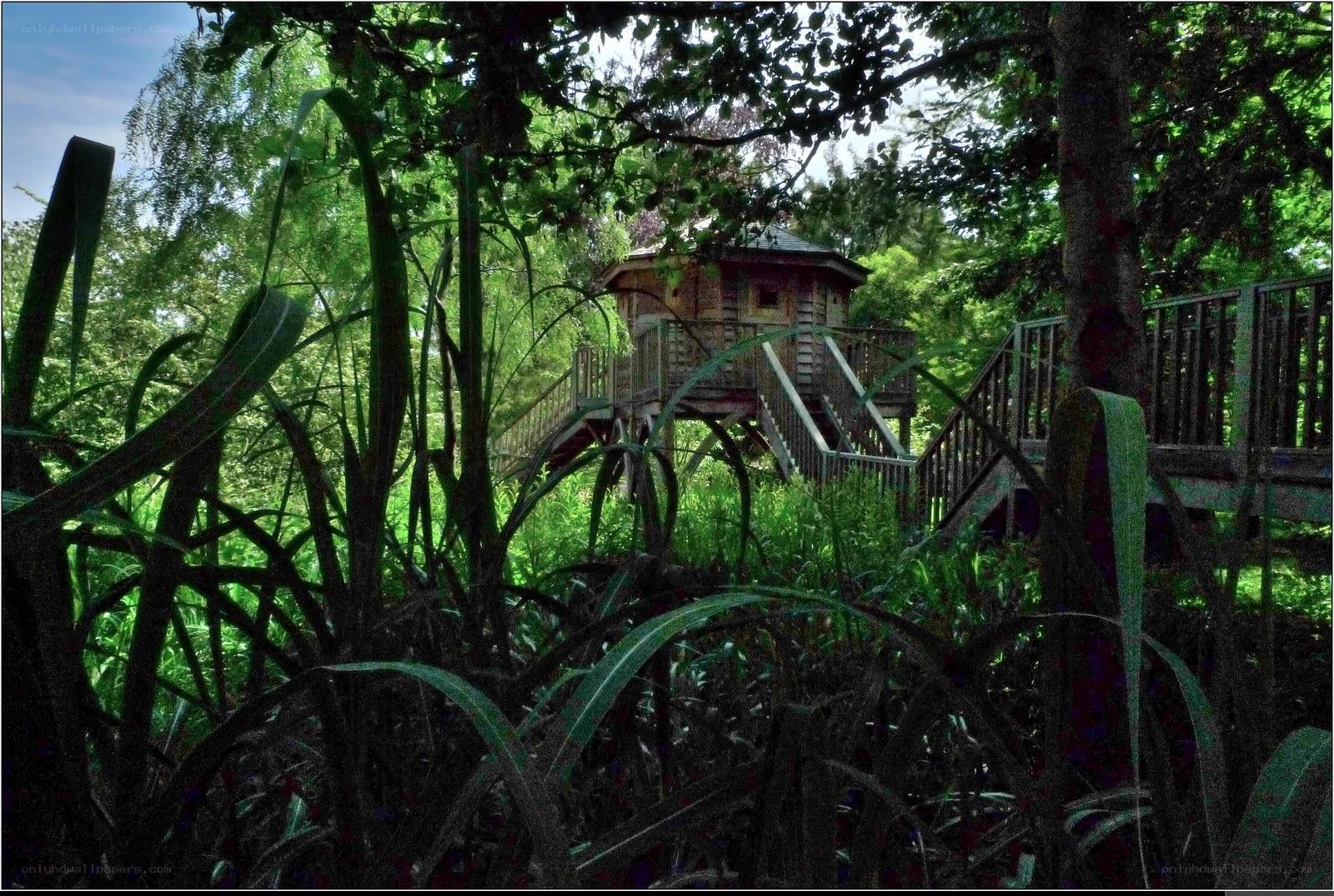 Wooden treehouse in forest