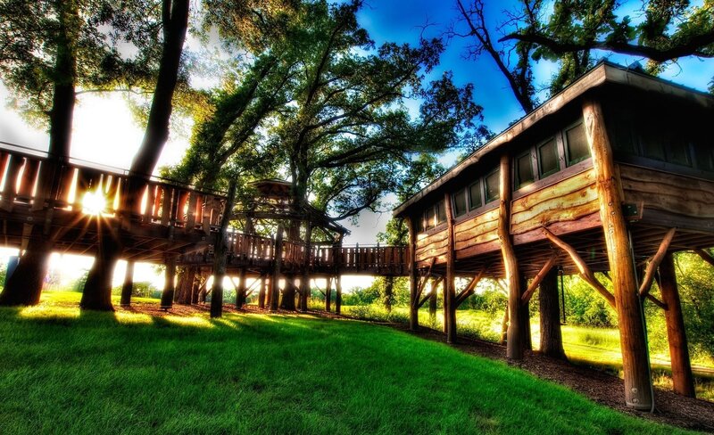 Wooden Treehouse Structure