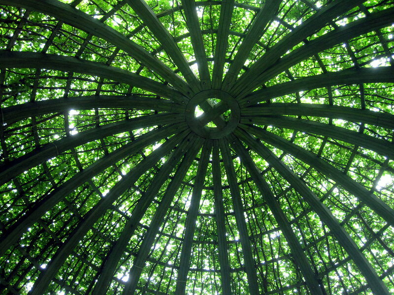 Wooden Trellis Ceiling