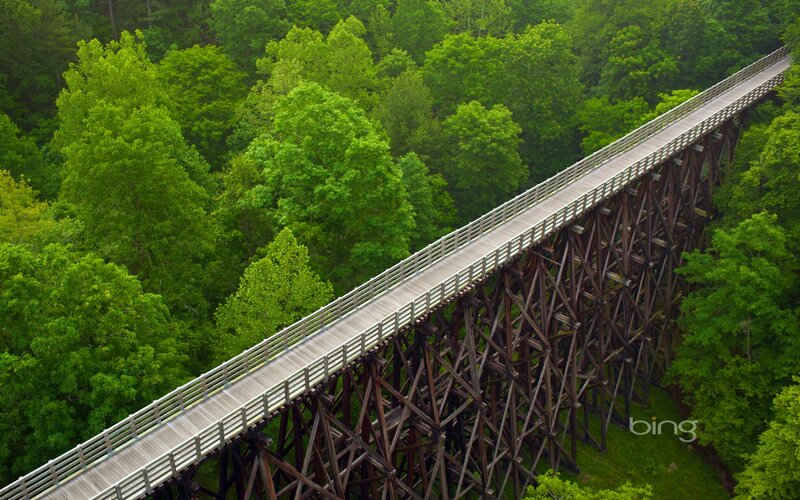 wooden trestle bridge in forest