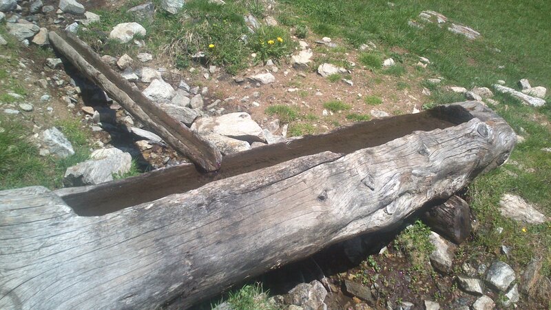 Wooden Trough in Grass