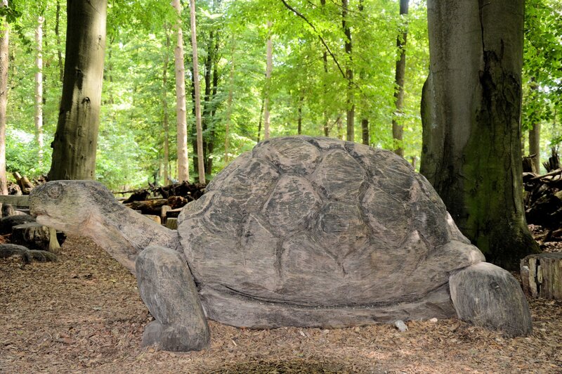 Wooden Turtle Sculpture