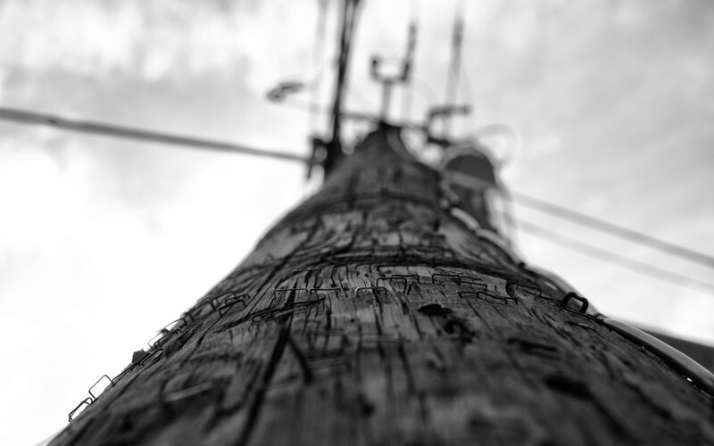 wooden utility pole from below