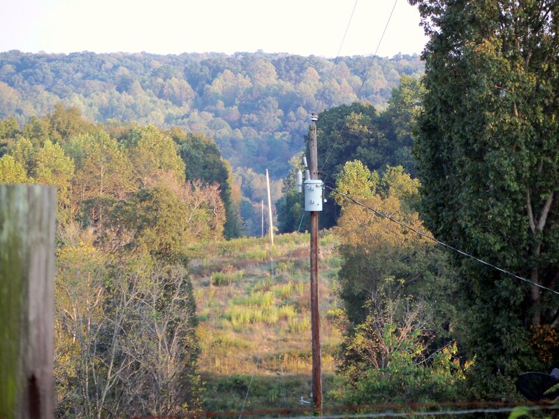 Wooden Utility Pole — Green