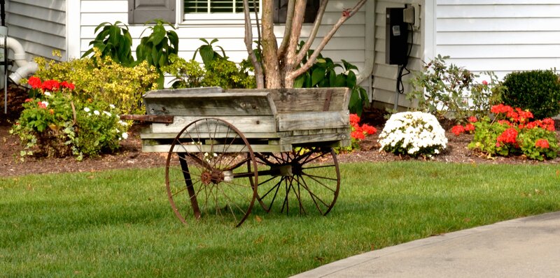 Wooden Wagon in Garden