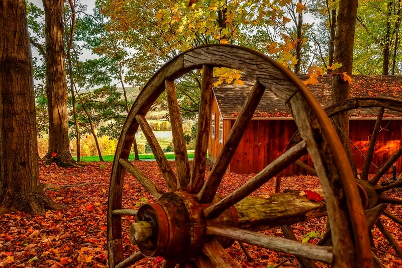 Wooden Wagon Wheel — Brown, Serene