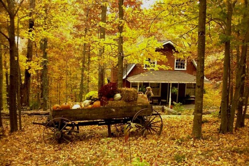 Wooden Wagon with Pumpkins