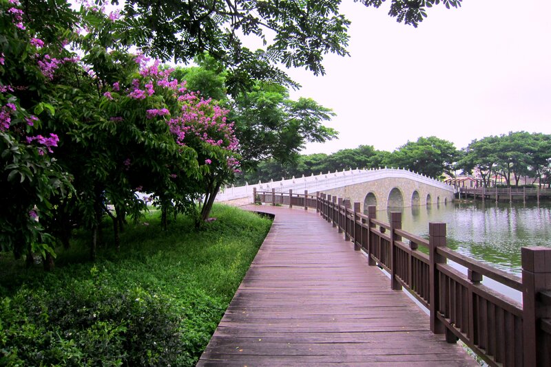 Wooden Walkway and Bridge