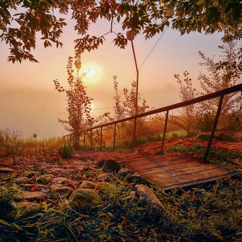 Wooden Walkway at Sunrise