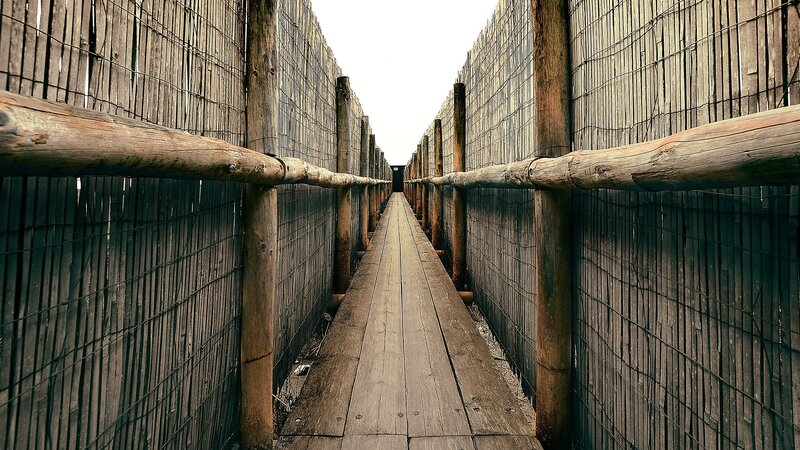 wooden walkway between bamboo walls