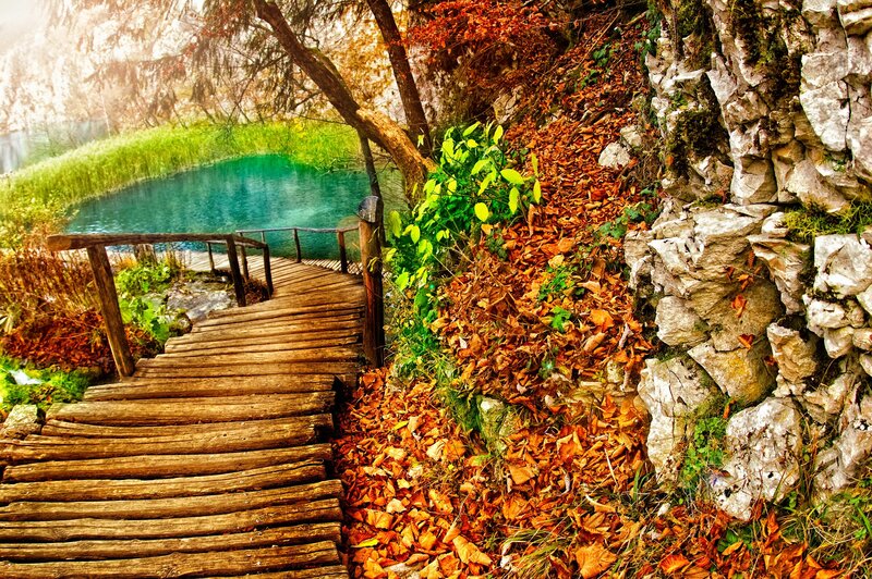 Wooden Walkway by Lake — Brown, Serene