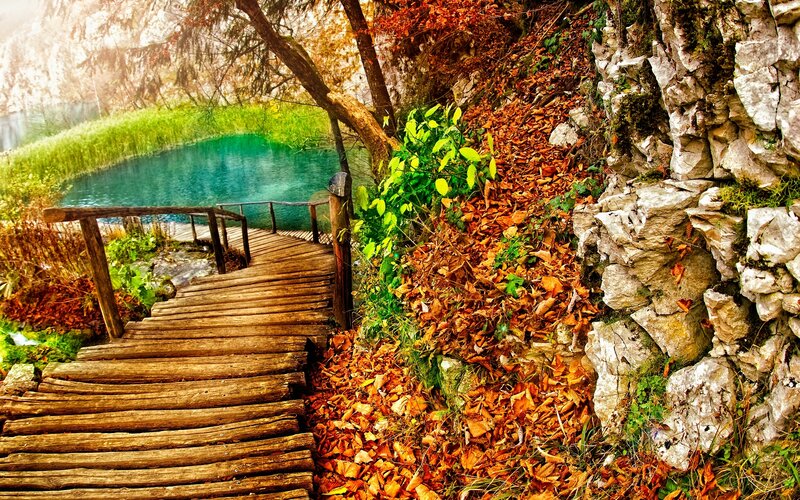 Wooden Walkway by Lake — Brown