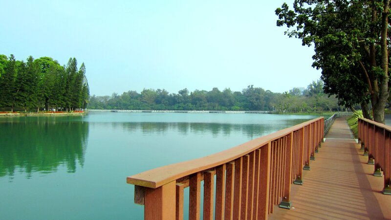 Wooden Walkway by Lake — Green