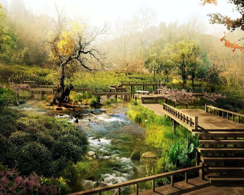 Wooden Walkway by Stream — Green, Serene