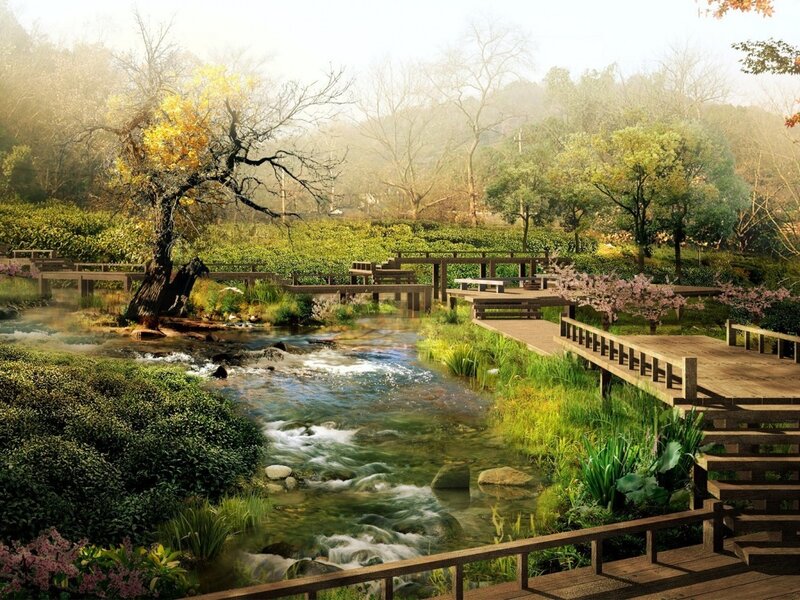 Wooden Walkway by Stream