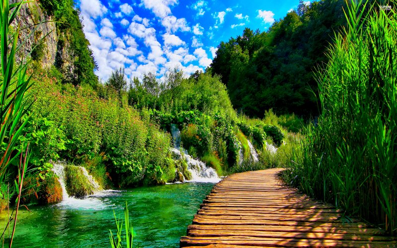 Wooden Walkway by Waterfall — Green, Serene