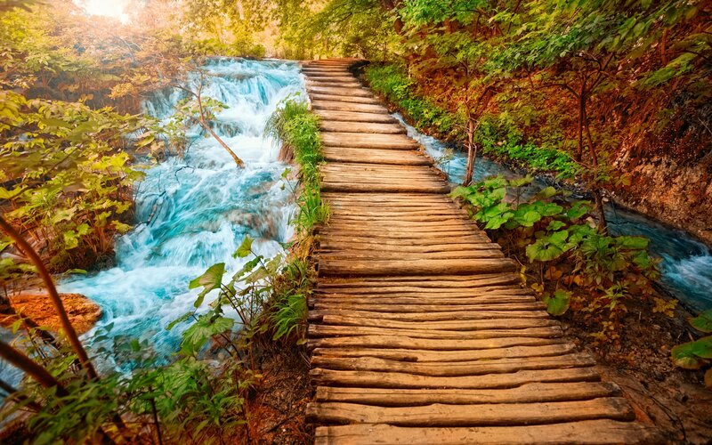 Wooden Walkway by Waterfall
