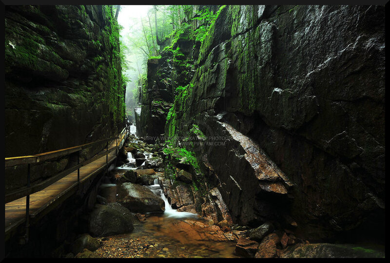 Wooden Walkway in Canyon