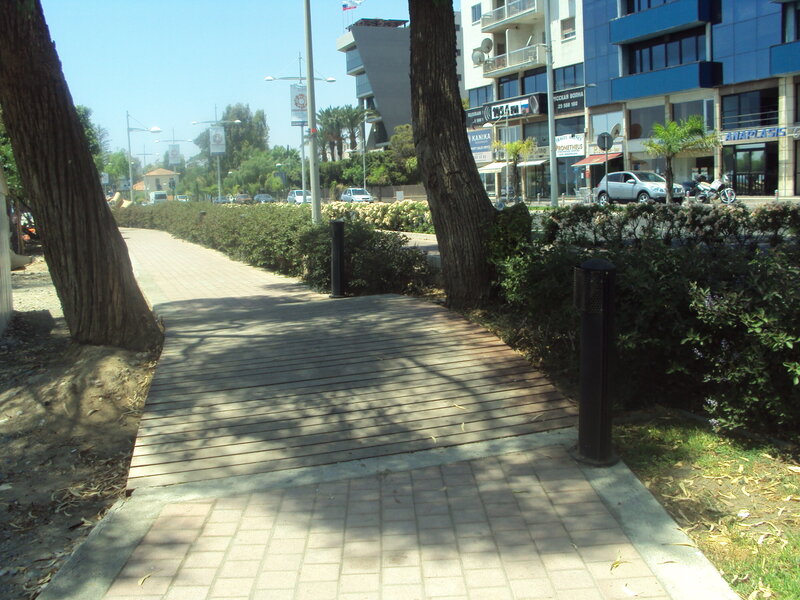 wooden walkway in city park